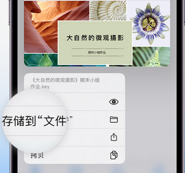 伊春apple维修中心分享iPhone文件应用中存储和找到下载文件