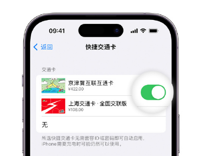 伊春apple维修点分享iPhone上更换Apple Pay快捷交通卡手绘卡面 