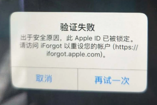 伊春iPhone维修分享iPhone上正常登录或使用AppleID怎么办 