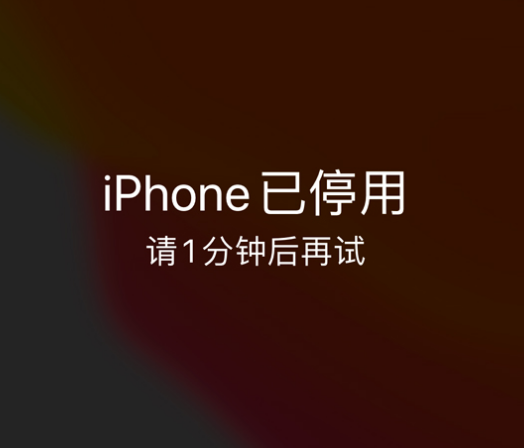 伊春苹果手机维修分享:iPhone 显示“不可用”或“已停用”怎么办？还能保留数据吗？ 