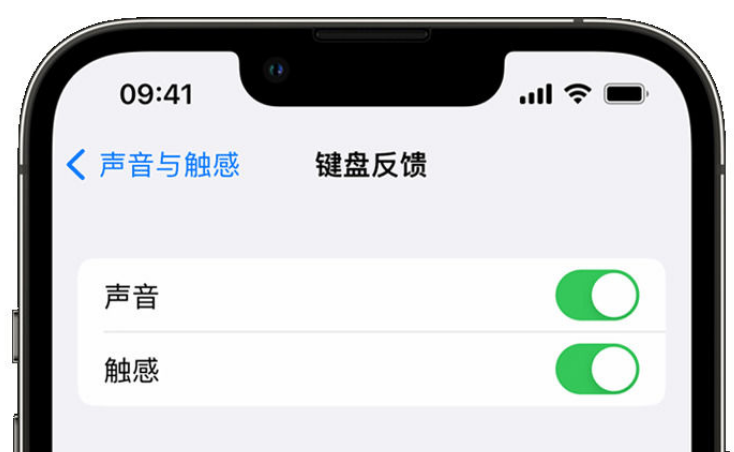 伊春苹果手机维修分享iPhone 14触感键盘使用方法 