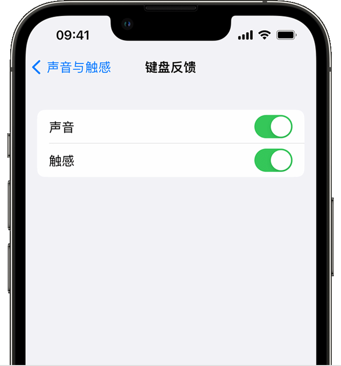 伊春苹果14维修店分享如何在 iPhone 14 机型中使用触感键盘 