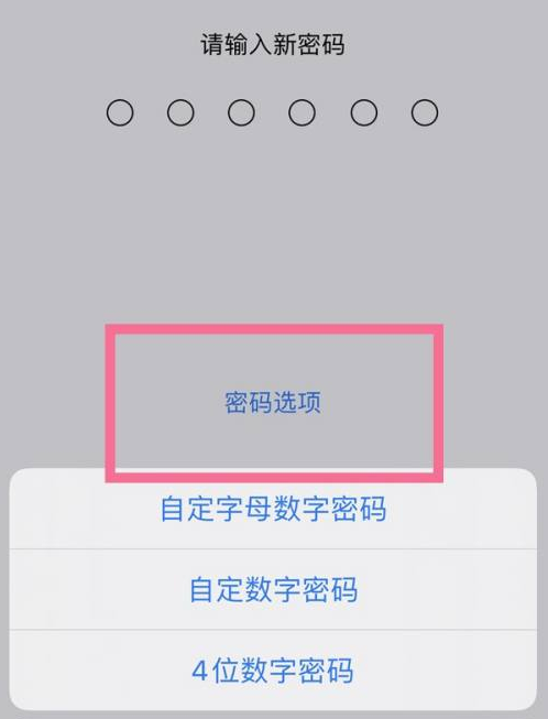 伊春苹果14维修分享iPhone 14plus设置密码的方法 