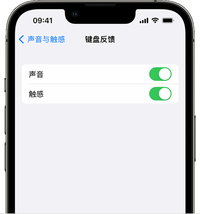 伊春苹果14维修分享iPhone 14 系列机型如何开启键盘声音或触感反馈 