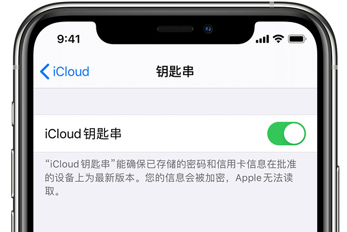 伊春苹果手机维修分享在 iPhone 上开启 iCloud 钥匙串之后会储存哪些信息 