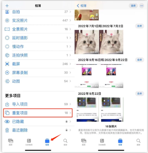 伊春苹果手机维修分享iOS 16 中相册重复项目功能使用方法 