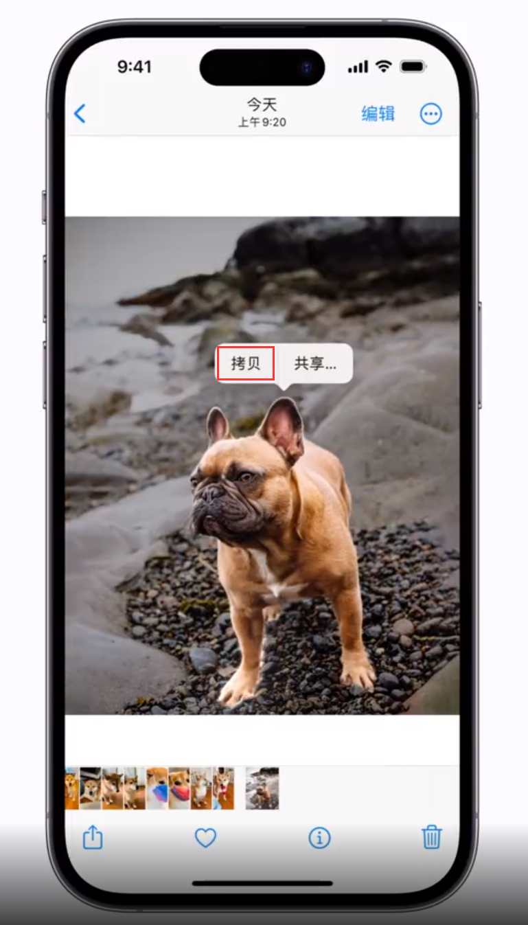 伊春苹果手机维修分享 iOS 16 自带一键抠图功能 