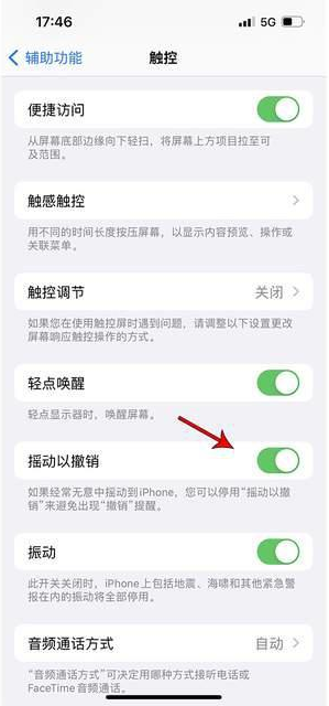 伊春苹果手机维修分享iPhone手机如何设置摇一摇删除文字 