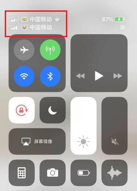 伊春苹果手机维修分享为 iPhone 12 双卡设置标签 